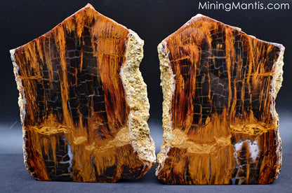 Parker Wood Slab Pair