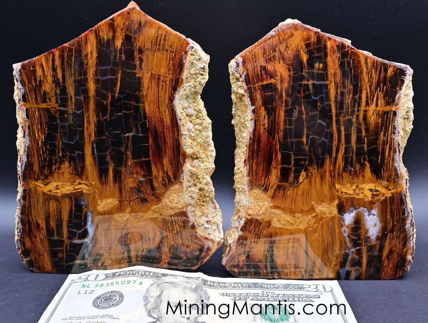 Parker Wood Slab Pair